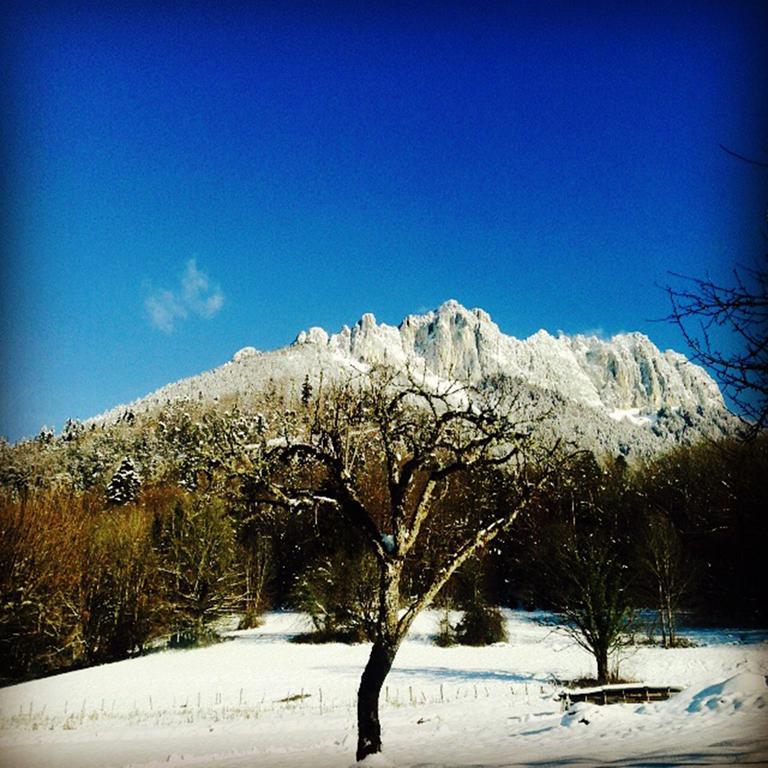 Village Vacances Les Alerions Talloires-Montmin Exterior foto